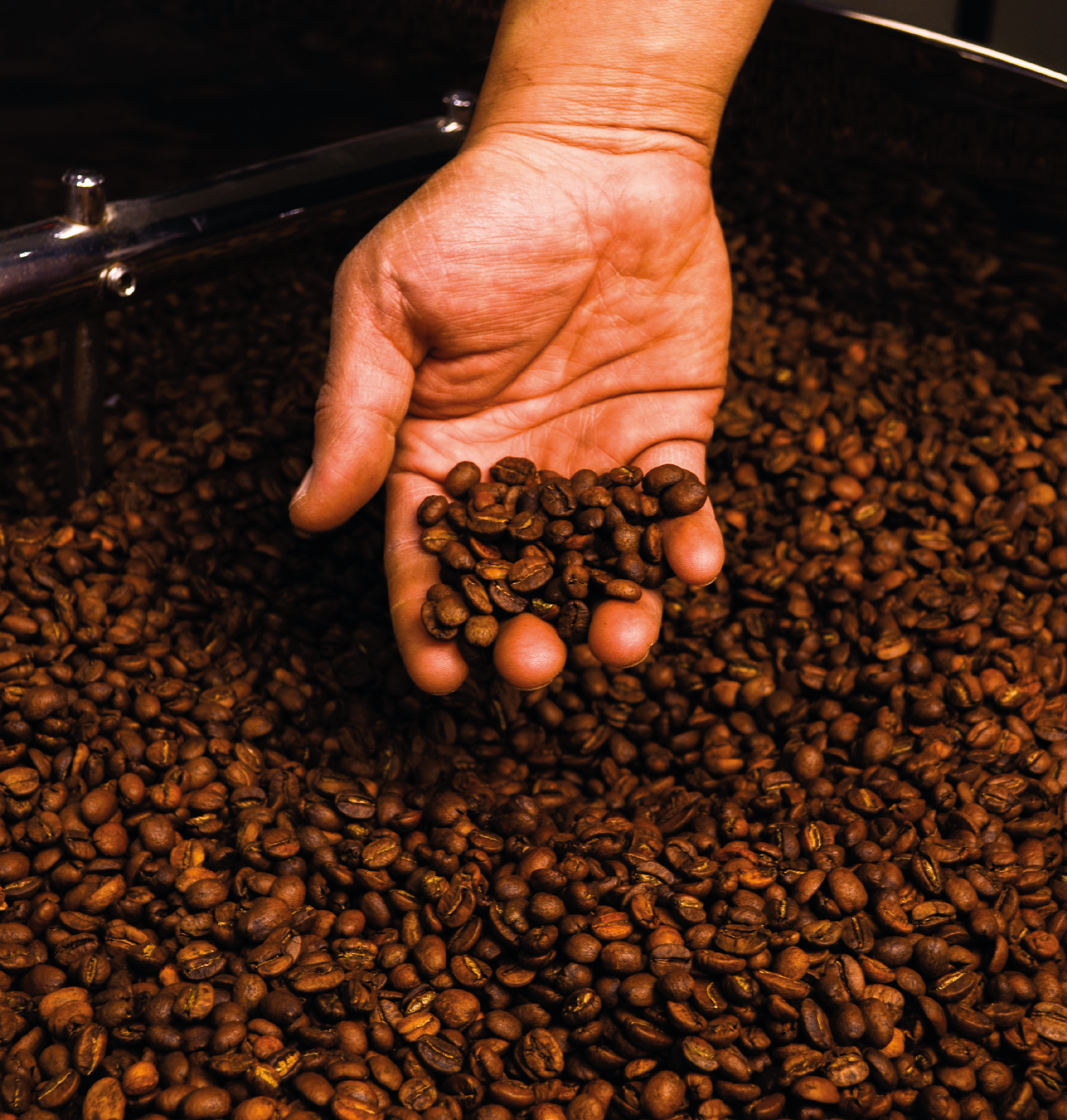 Veracruz 340gr/ 1kg - Tetecoloh Café