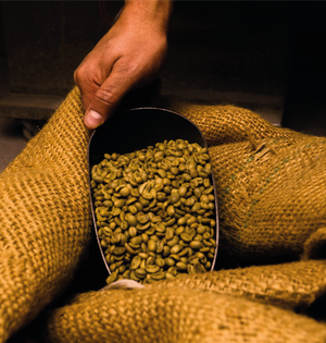Puebla 340gr/ 1kg - Tetecoloh Café