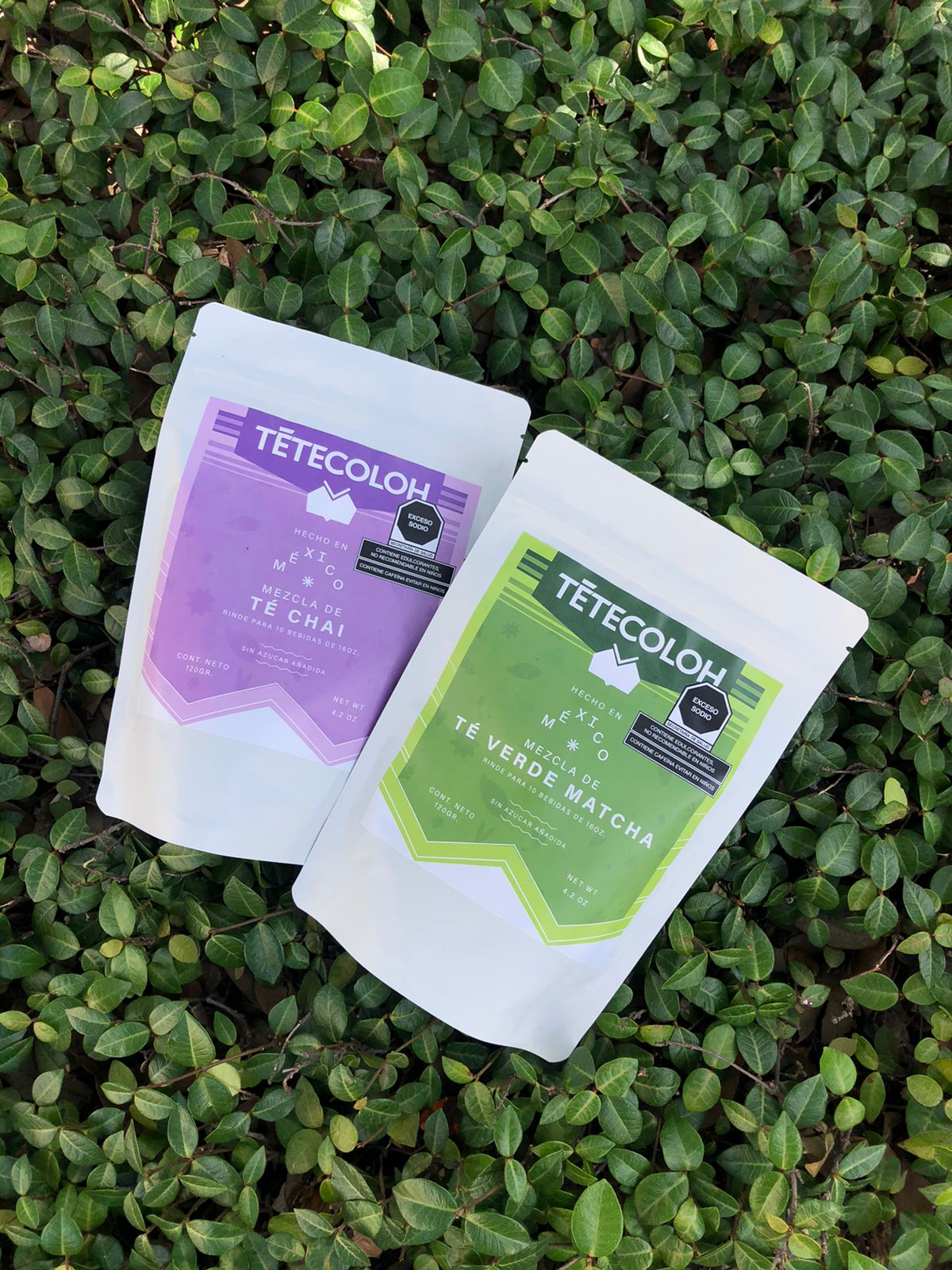 Mezcla Té Verde Matcha - para frappé y latte